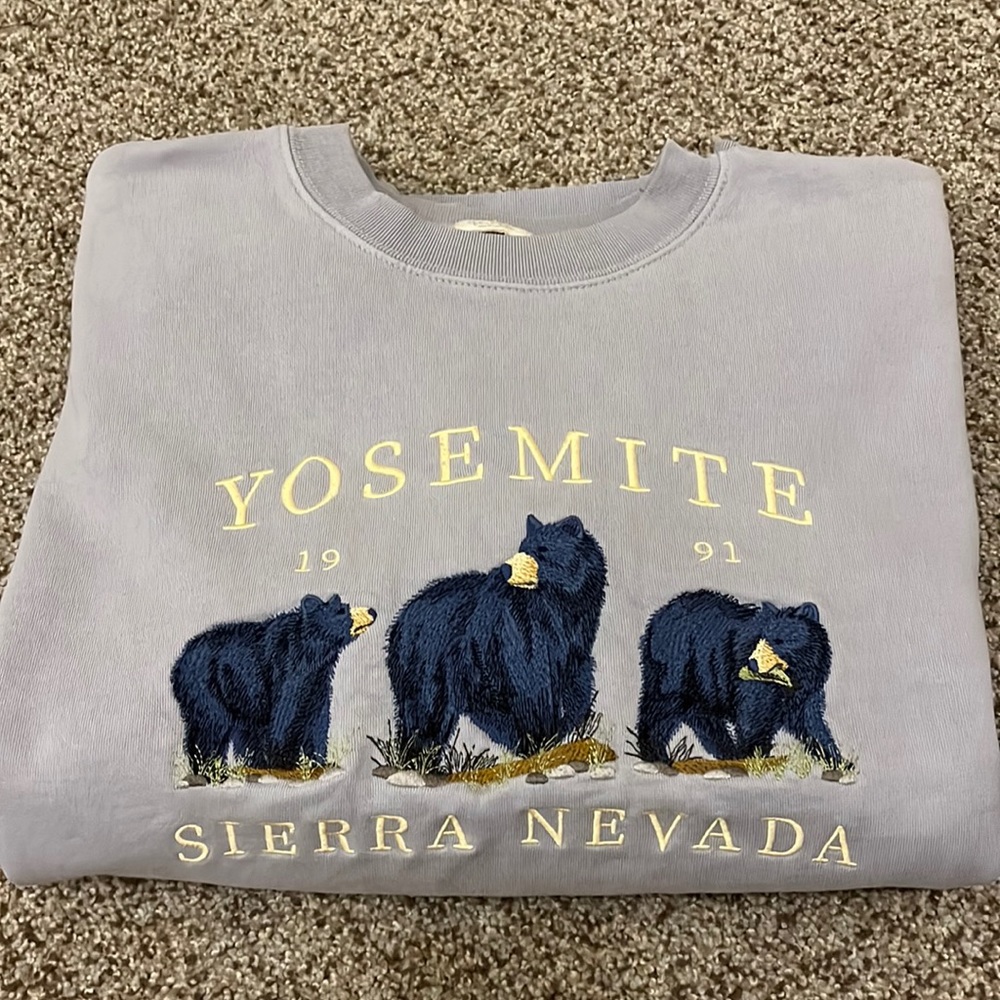 john galt/brandy melville yosemite jumper